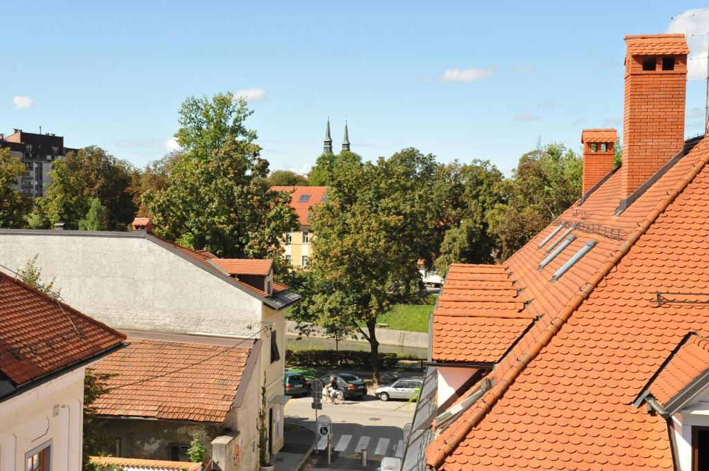 Spacious 2-Bedroom Apartment Zabjak With Ac Tour As Ljubljana Buitenkant foto