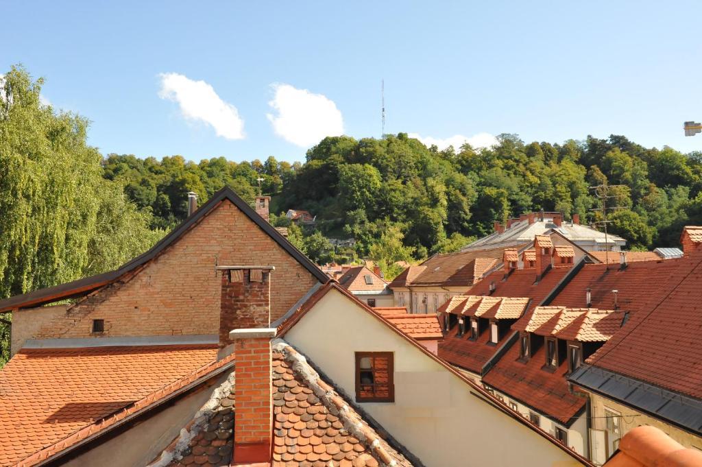 Spacious 2-Bedroom Apartment Zabjak With Ac Tour As Ljubljana Buitenkant foto