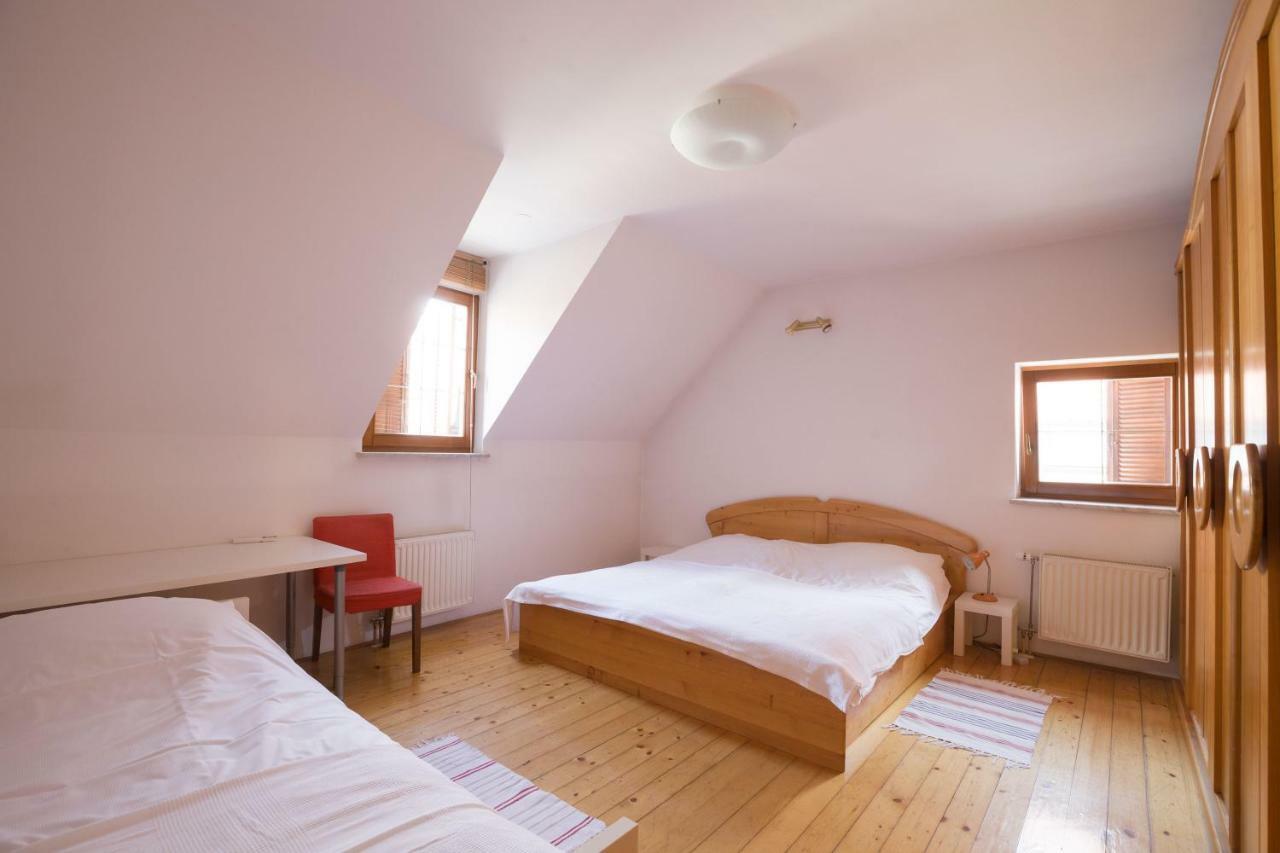 Spacious 2-Bedroom Apartment Zabjak With Ac Tour As Ljubljana Buitenkant foto